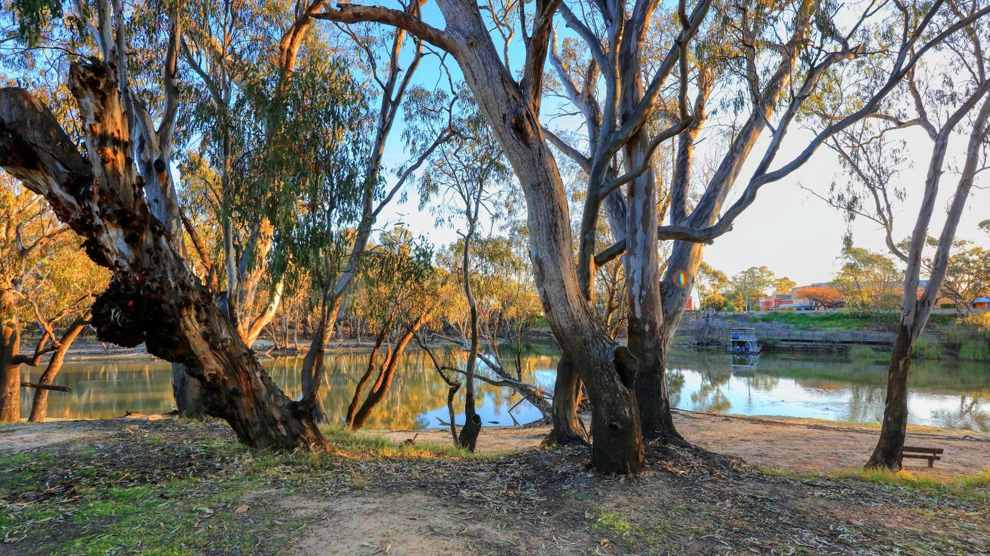 Deniliquin Riverside Caravan Park Esterno foto