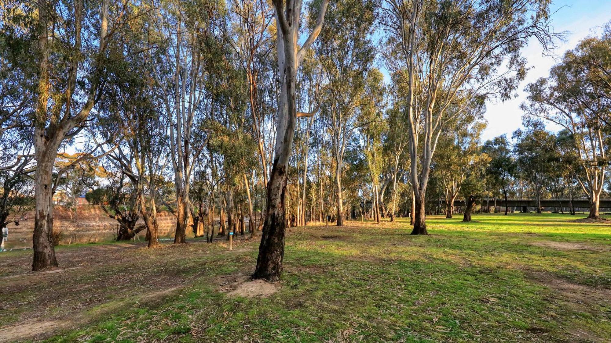 Deniliquin Riverside Caravan Park Esterno foto